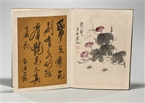 Chinese Painting & Calligraphy Portfolio