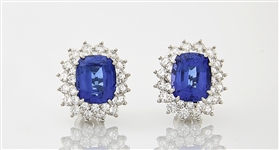 Tiffany & Co. Platinum, Tanzanite & Diamond Earrings