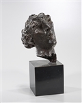 Bronze Head of a Man by Damm
