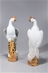 Pair of Chinese Enameled Porcelain Phoenix Birds