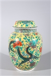 Chinese Famille Verte Enameled Porcelain Covered Dragon Vase