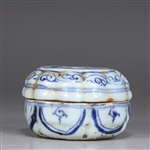 Chinese Blue & White Porcelain Box
